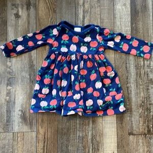 Hanna Andersson dress